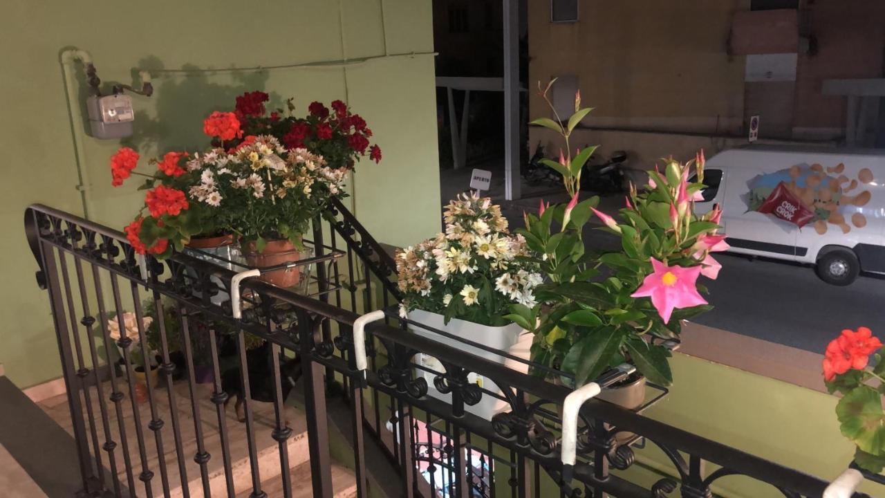 Tom & Jerry Bed & Breakfast Pisa Exterior foto