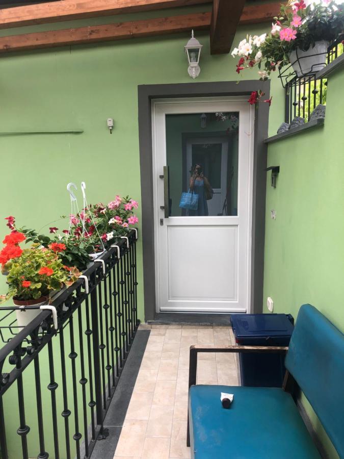 Tom & Jerry Bed & Breakfast Pisa Exterior foto